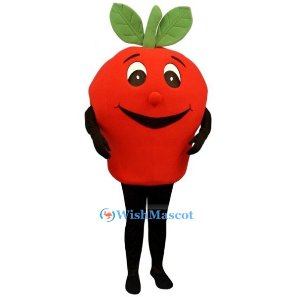 Red Apple Mascot Costume