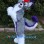 Gray & Purple Fox Dog Mascot Costume