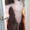 Gray & White Fox Dog Mascot Costume