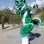 Green and White Husky Mascot Costume