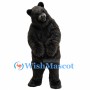 Black Bear Mascot Costume