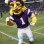 Minnesota Vikings Mascot Costume