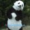Realistic Panda Mascot Costume