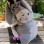 Eeyore Mascot Costume