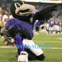 Baltimore Ravens Mascot Costume