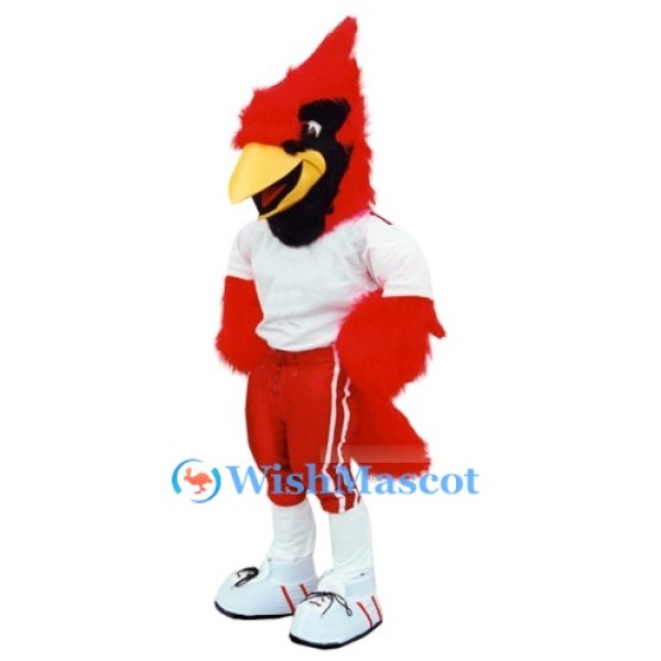 Sports ‌Cardinal Mascot Costume