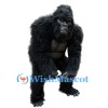 Fierce Gorilla Mascot Costume