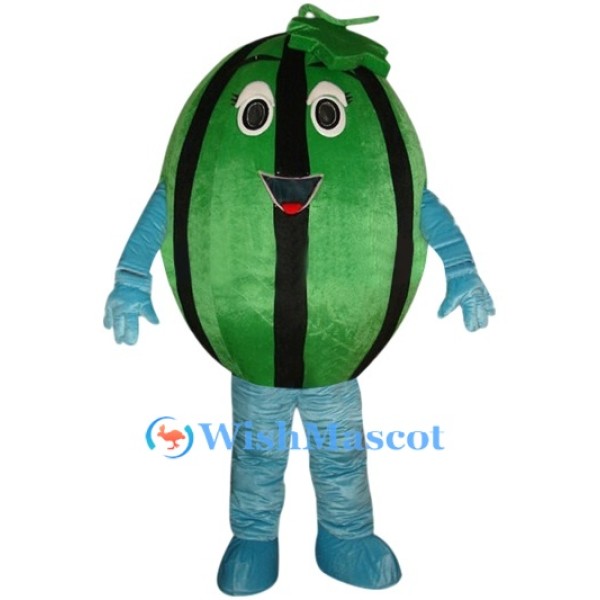 Watermelon Mascot Costume