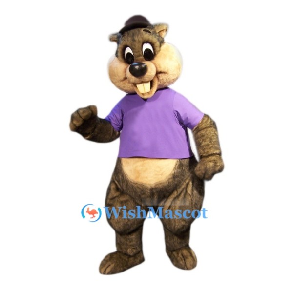 Soft Squirrel Mascot Costume