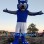 Blue & Grey Wolf Mascot Costume