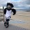 School Black Eagle Mascot Costume