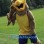 Sport Brown Falcon Mascot Costume