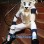 Baseball White Lion Mascot Costume