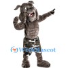 Muscle Bulldog Mascot Costume