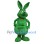 Green Kangaroo Mascot Costume