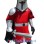 Medieval Knight Mascot Costume