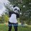 Panda Mascot Costume