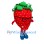 Strawberry Mascot Costume with Glasses