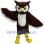 Brown Owl Mascot Costume