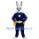 ‌Bunny Hero Mascot Costume