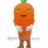 ‌Carrot Mascot Costume