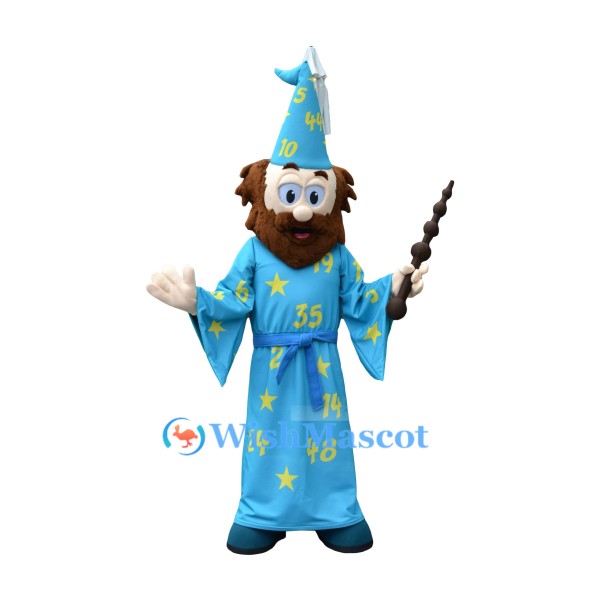 Magical Wizard Mascot Costume