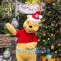 Winnie the Pooh Christmas Mascot Costume