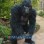 Gorilla Mascot Costume