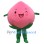 Cute Peach Mascot Costume