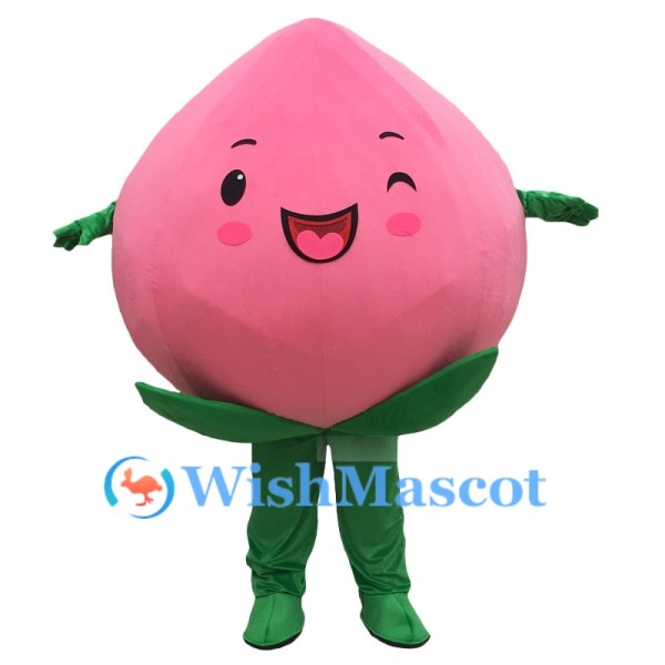 Cute Peach Mascot Costume