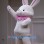Superb White Rabbit Mascot Costume
