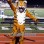 School Realistic Tiger Mascot Costume