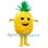 Pineapple Mascot Costume