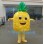 Pineapple Mascot Costume