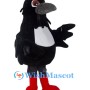 Black Crow Mascot Costume