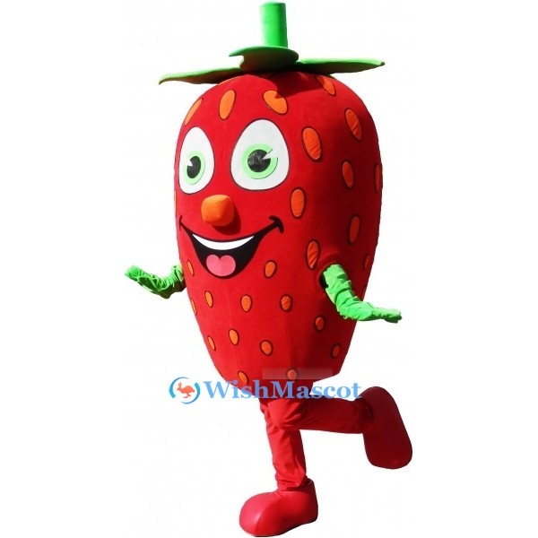 Cartoon Strawberry Mascot Costume