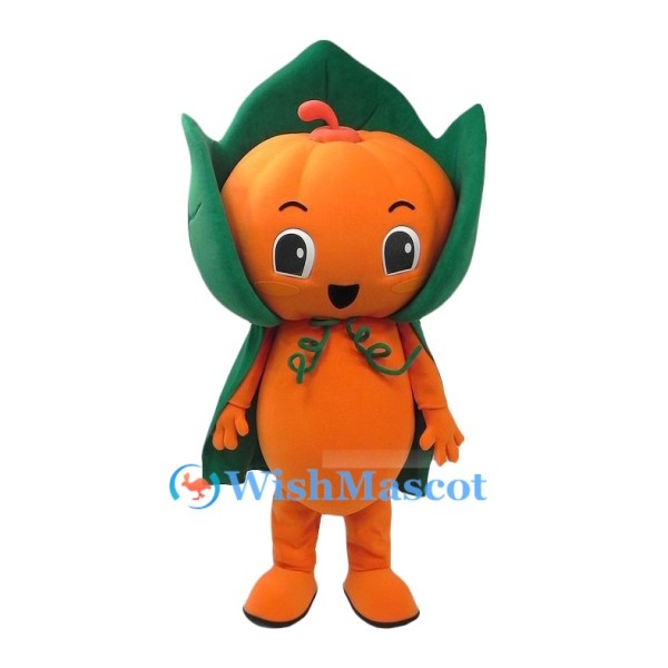 Pumpkin Elf Mascot Costume