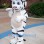 Little White Tiger Mascot Costume