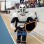 Knight Mascot for Sports Events