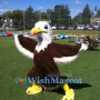 Bald Eagle Mascot Costume for Outdoor Events