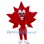 Maple Leaf Mascot Costume