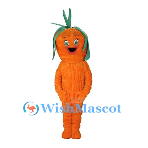 Orange Carrot Mascot Costume