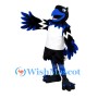 Black & Blue Eagle Mascot Costume