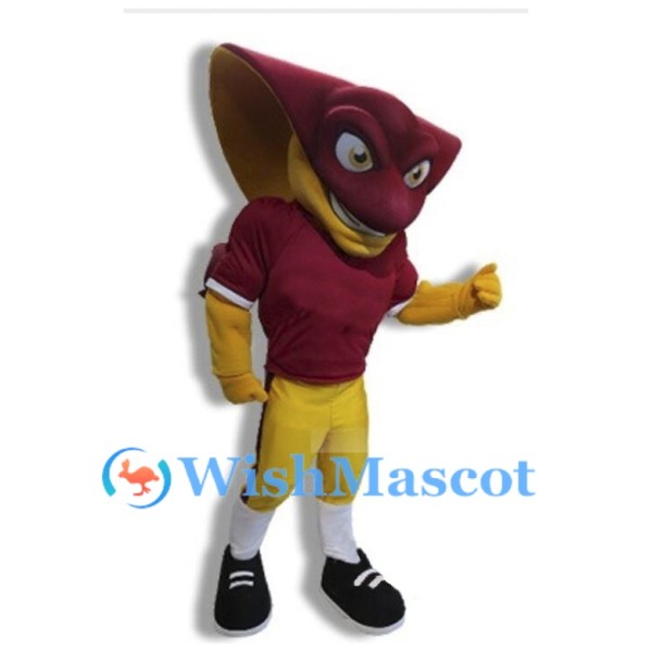 Sport Ray Mascot Costume