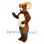 ‌Ram Mascot Costume