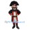 Classic Pirate Mascot Costume