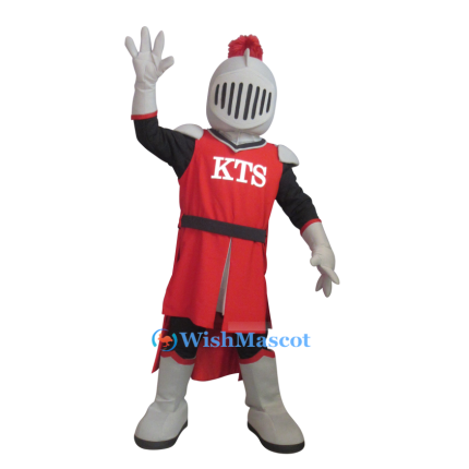 Friendly Knight Mascot Costume