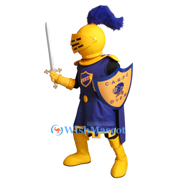 High School Knight Mascot Costume