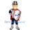 Shiny Knight Mascot Costume