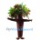 Realistic Tree Mascot Costume